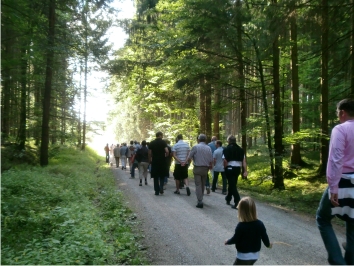 - Wald - Erholung1